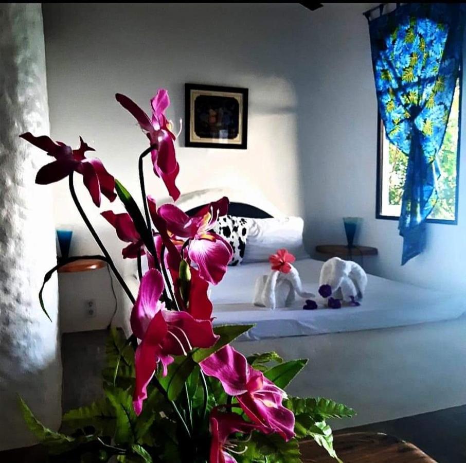Kim'S Garden Villa Anda  Bagian luar foto