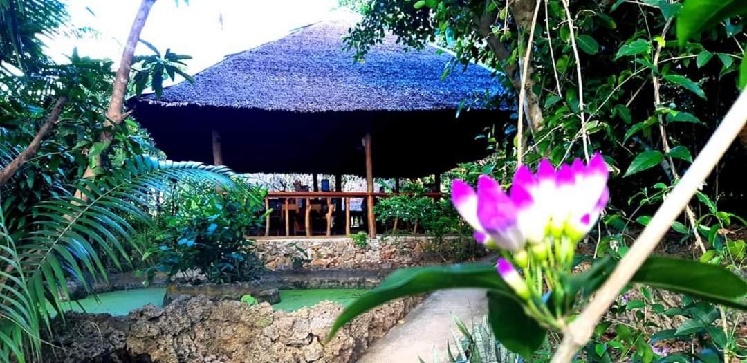 Kim'S Garden Villa Anda  Bagian luar foto