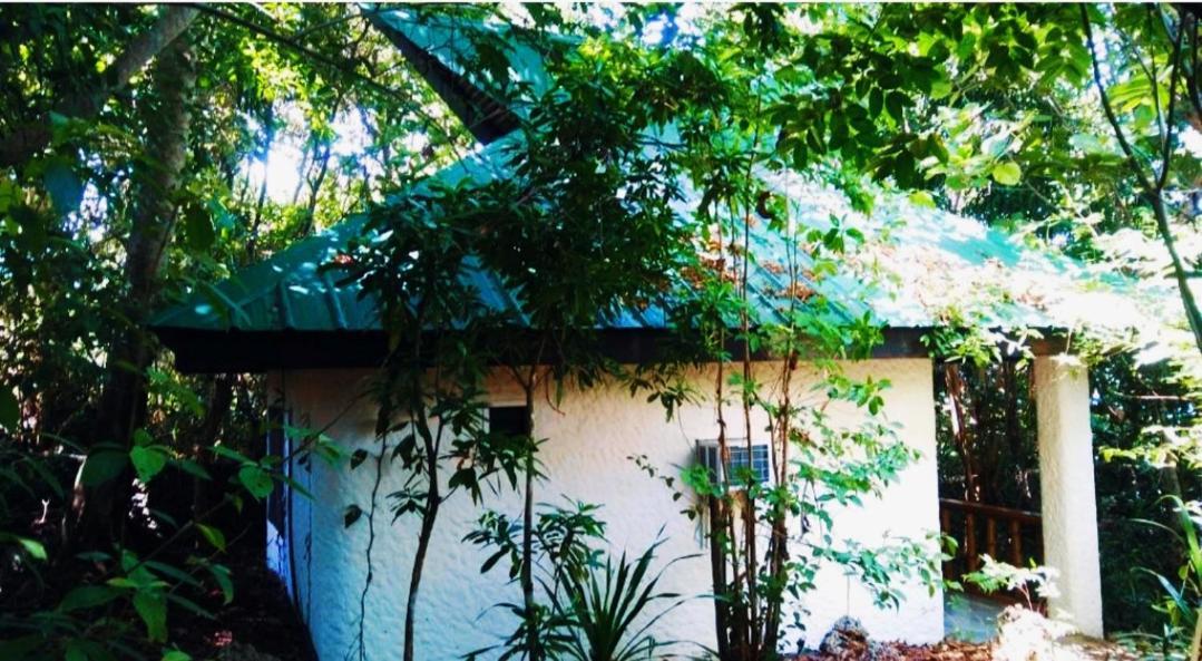 Kim'S Garden Villa Anda  Bagian luar foto