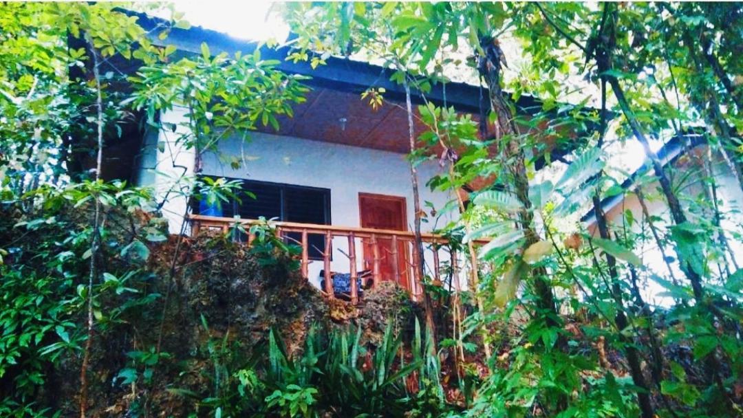 Kim'S Garden Villa Anda  Bagian luar foto