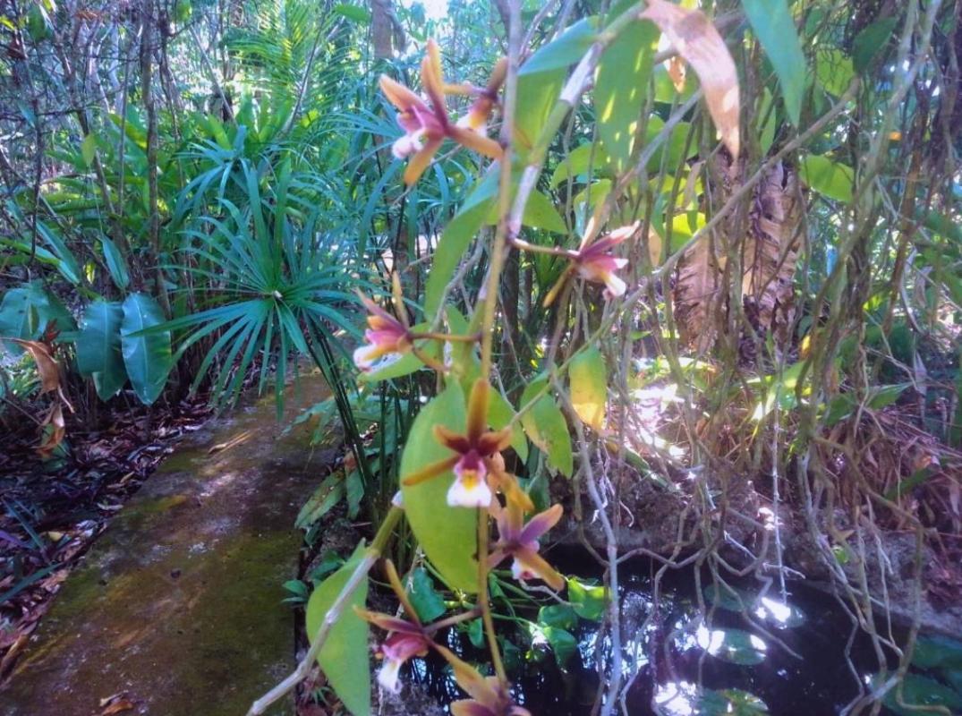 Kim'S Garden Villa Anda  Bagian luar foto