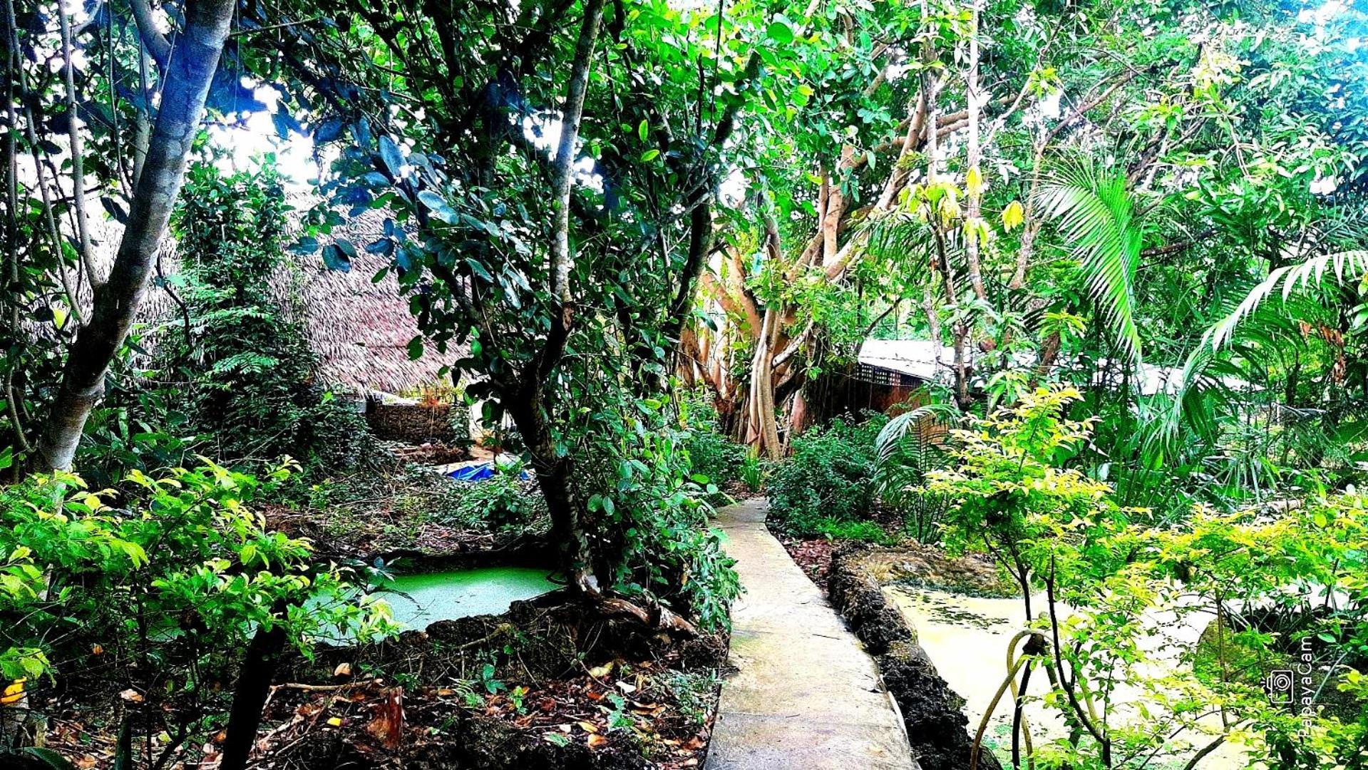Kim'S Garden Villa Anda  Bagian luar foto