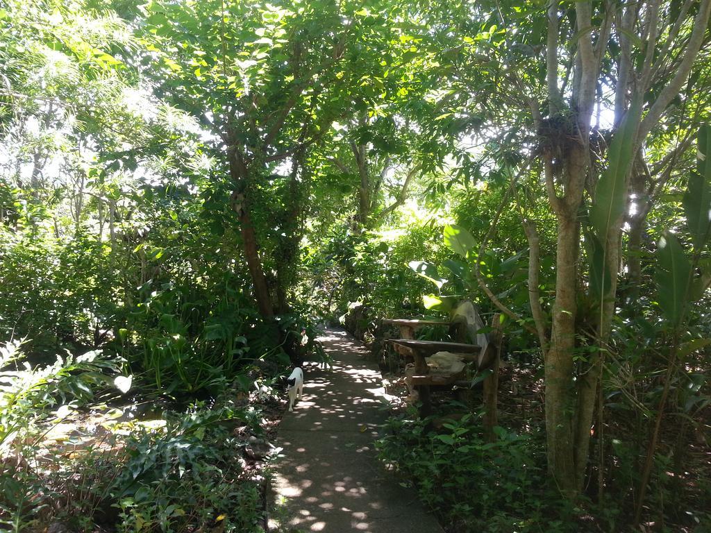 Kim'S Garden Villa Anda  Bagian luar foto