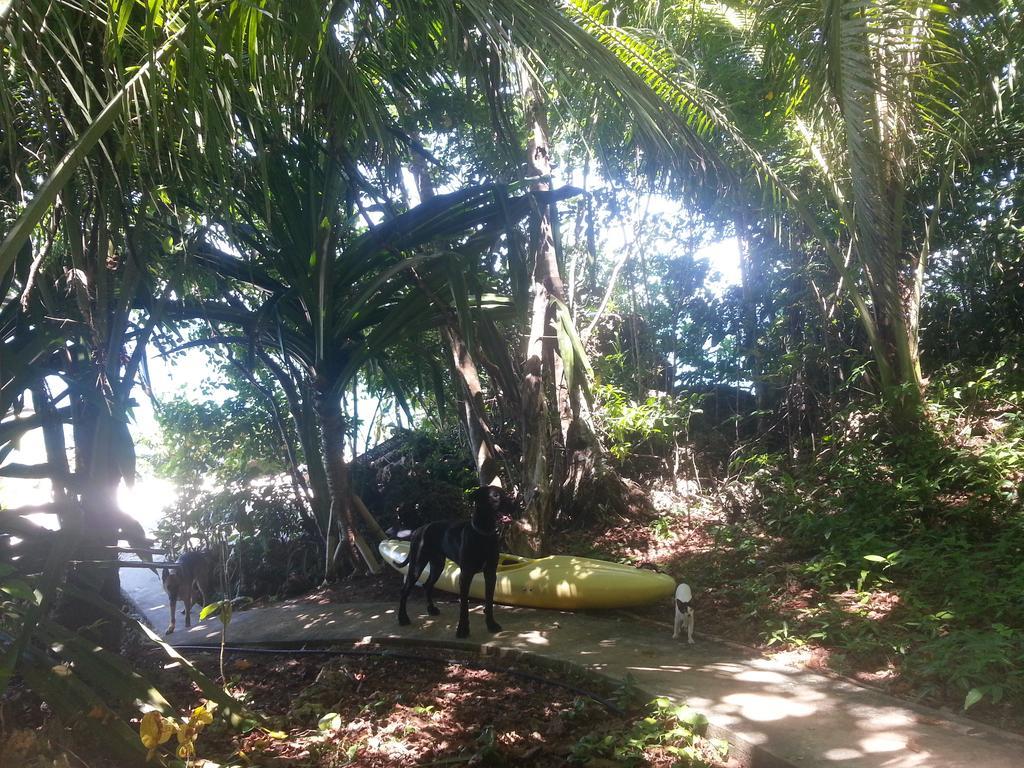 Kim'S Garden Villa Anda  Bagian luar foto