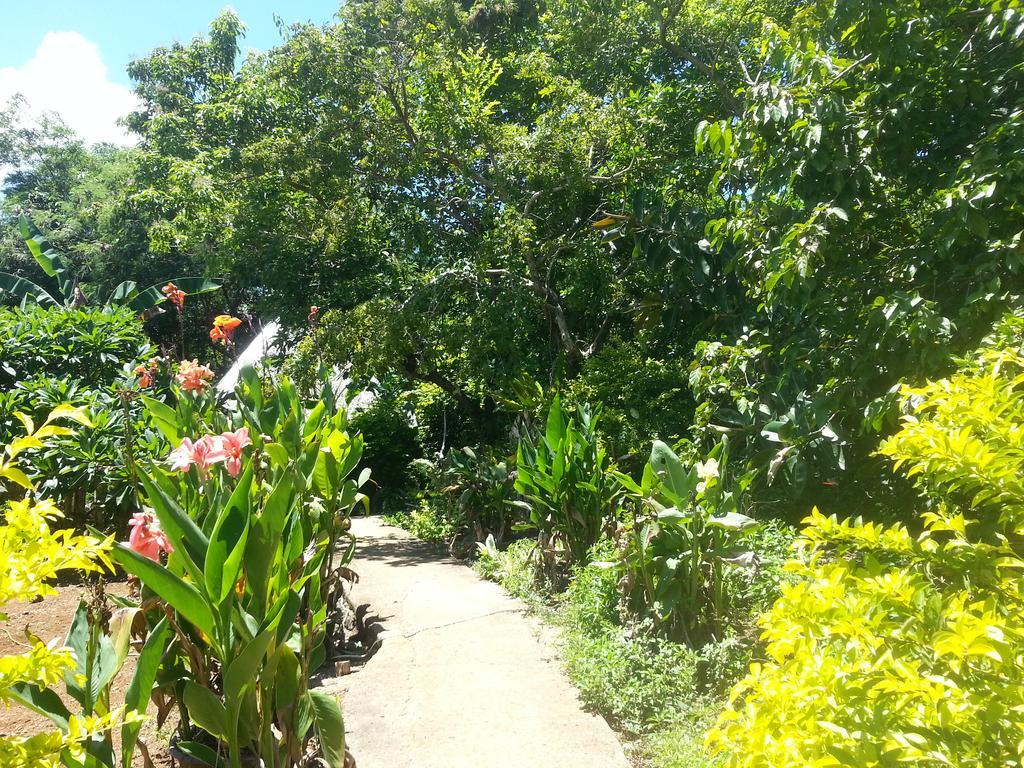 Kim'S Garden Villa Anda  Bagian luar foto