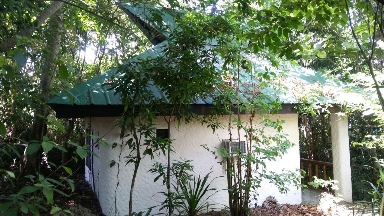 Kim'S Garden Villa Anda  Bagian luar foto